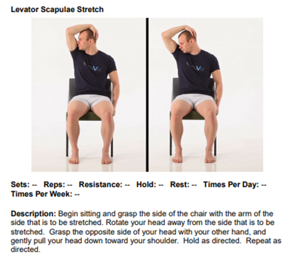 Comprehensive Stretching Routines for Daily Practice