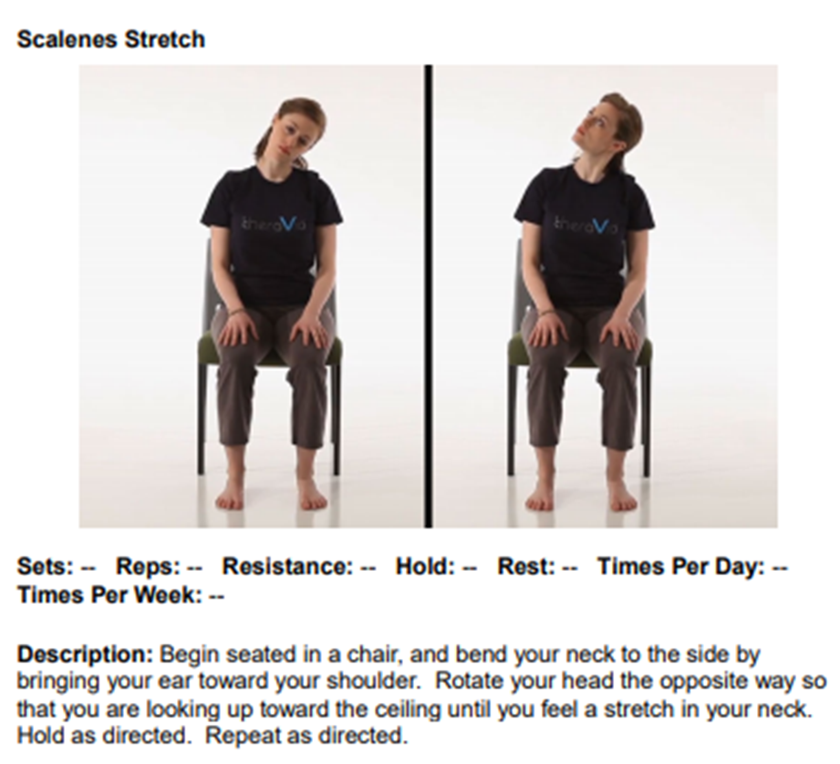 neck stretches handout